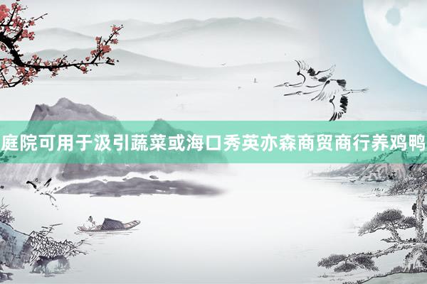 庭院可用于汲引蔬菜或海口秀英亦森商贸商行养鸡鸭