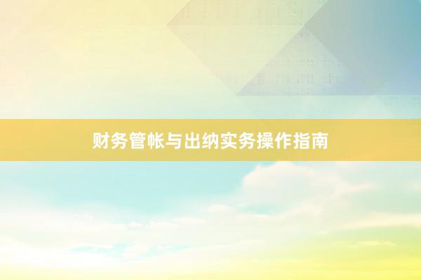 财务管帐与出纳实务操作指南