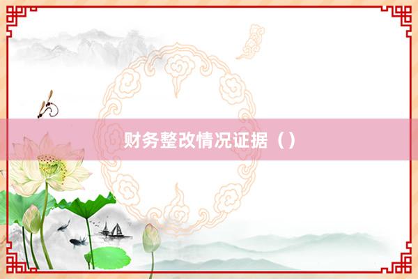 财务整改情况证据（）